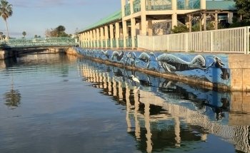 Manatee Center