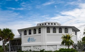 Museo Nacional de Conchas Bailey-Matthews & Acuario