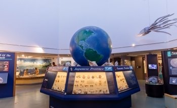 Bailey-Matthews National Shell Museum & Aquarium
