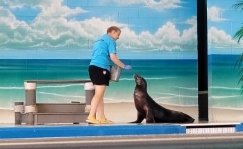 Ocean Adventures Marine Park