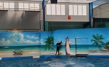 Ocean Adventures Marine Park