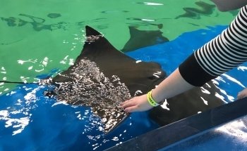Ocean Adventures Marine Park