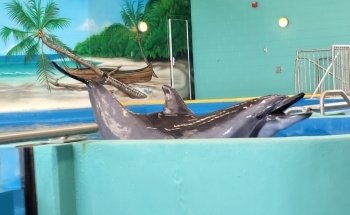 Ocean Adventures Marine Park