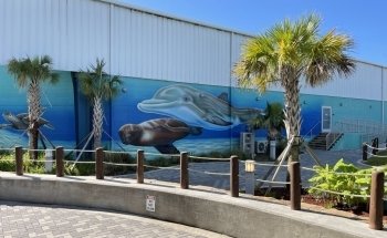 Ocean Adventures Marine Park