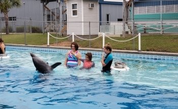 Ocean Adventures Marine Park