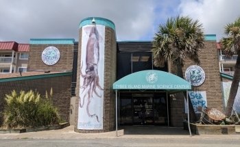 Tybee Island Marine Science Center