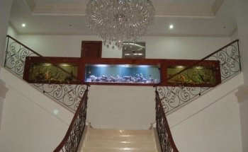 ACUARIUM Fish Ornamentals