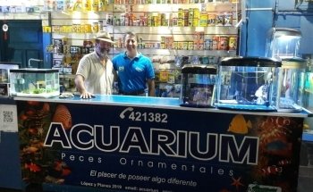 ACUARIUM Fish Ornametales