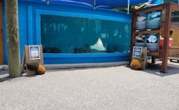 St. Augustine Aquarium