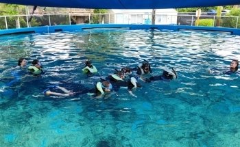 Acuario de San Agustín
