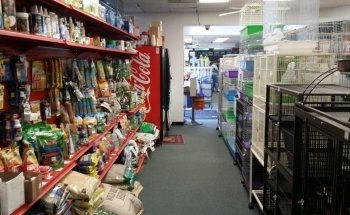 Pet Zone