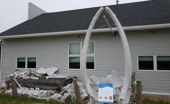 Seacoast Science Center