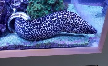 Seacoast Science Center