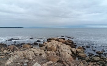 Seacoast Science Center