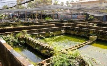Granja de Peces del Vecindario