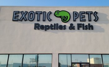 Exotic Pets