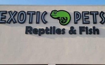 Exotic Pets