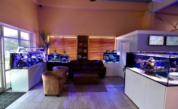 Nemo's Reef