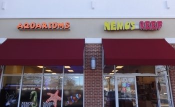 El Arrecife de Nemo