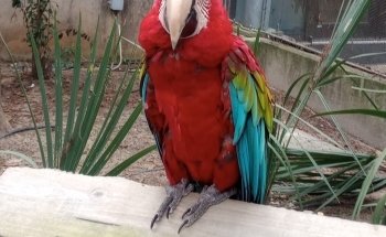 Flint RiverQuarium