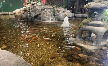 Jungle Reef