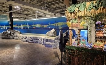 Jungle Reef