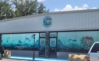 Mertailor’s Mermaid Aquarium Encounter
