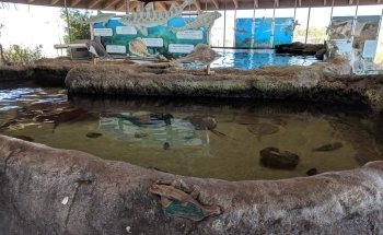 Living Coast Discovery Center