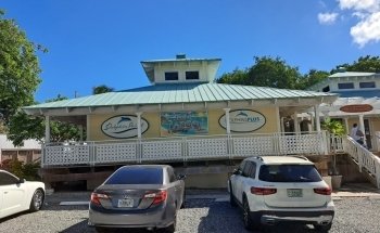 Dolphins Plus Bayside