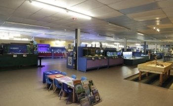 Biomes Marine Biology Center