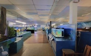 Centro de Biología Marina Biomes