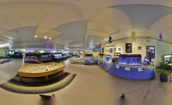 Biomes Marine Biology Center