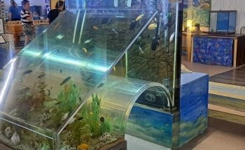 Biomes Marine Biology Center