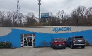 Aquarium