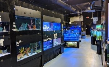 Aquarium