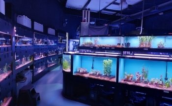 Aquarium