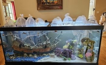 Aquarium