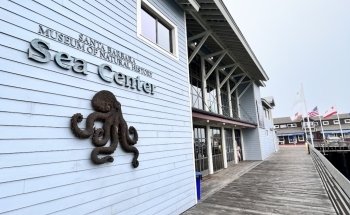 Santa Barbara Museum of Natural History Sea Center