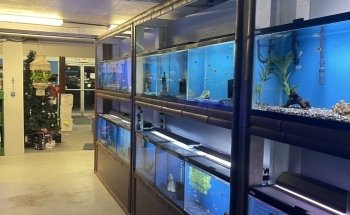 Aquarium Paradise