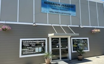 Aquarium Paradise