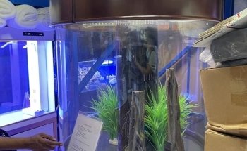 Monster Aquarium Inc - Shop in Queens New York