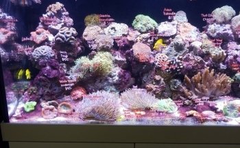 Monster Aquarium Inc - Shop in Queens New York