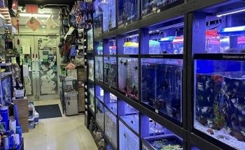 Monster Aquarium Inc - Shop in Queens New York