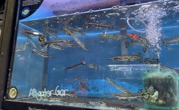 Monster Aquarium Inc - Shop in Queens New York