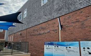 Woods Hole Science Aquarium