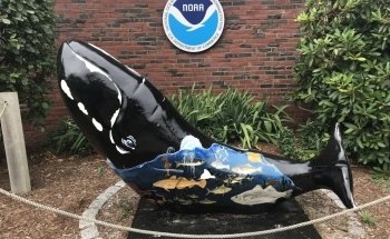Woods Hole Science Aquarium