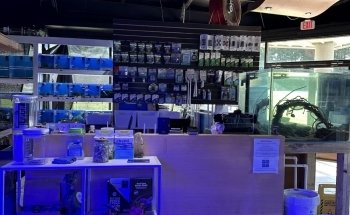 Upscale Aquatics