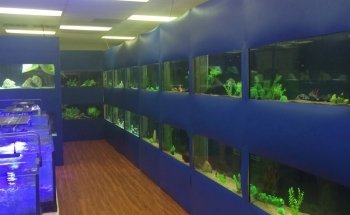 Upscale Aquatics