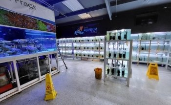 That Aquarium Place