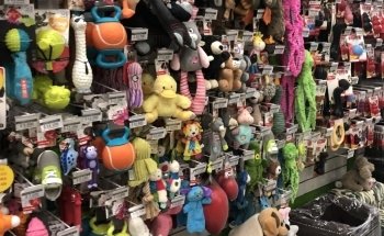 Pet Shop | Centro Pet Argentina | Acuario